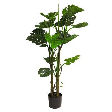 Plante décorative Philodendron Monstera Deliciosa LIYUNA, 120cm