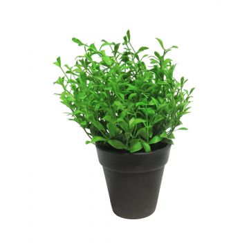 Thym artificiel MASHUO en pot décoratif, vert, 20cm