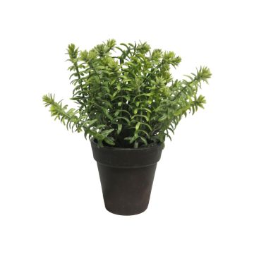 Succulente artificielle Sedum reflexum JINYU en pot décoratif, vert, 23cm