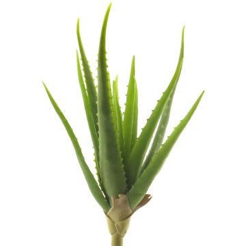 Succulente artificielle Aloe Vera DAHENG sur piquet, vert, 40cm