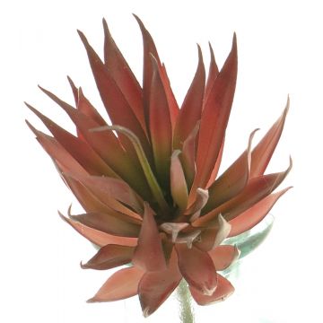 Fausse plante succulente Agave decipiens DEYUNA sur piquet, rouge, 18cm