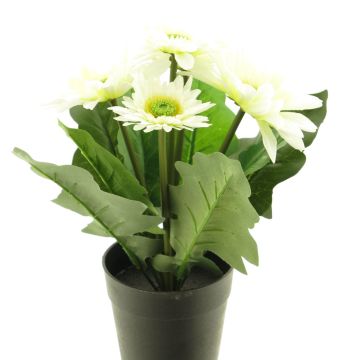 Fleur artificielle Gerbera XIAOOU en pot décoratif, crème, 25cm