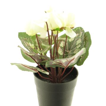 Fleur artificielle Cyclamen XIAOGUO, crème, 25cm