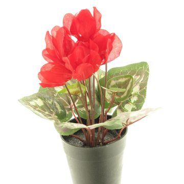 Fleur artificielle Cyclamen XIAOGUO, rouge, 25cm