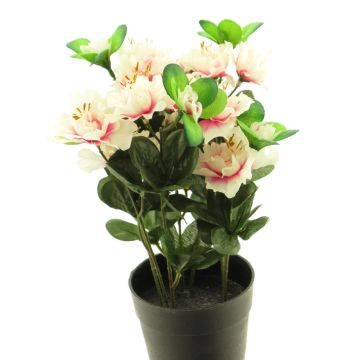 Fleur artificielle Azalée JINGSHU, crème-fuchsia, 25cm