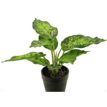 Plante décorative Dieffenbachia XUMEI, cache-pot, vert-crème, 25cm