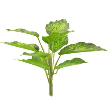 Plante décorative Dieffenbachia XUMEI, piquet, vert-crème, 25cm