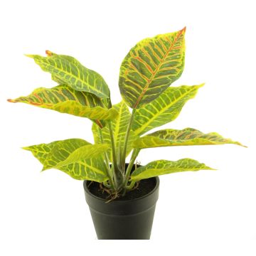 Plante artificielle Croton SUNLAN en pot décoratif, vert-jaune, 25cm