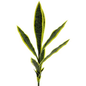 Plante succulente décorative Sansevieria SUNLIN sur piquet, vert-jaune, 70cm