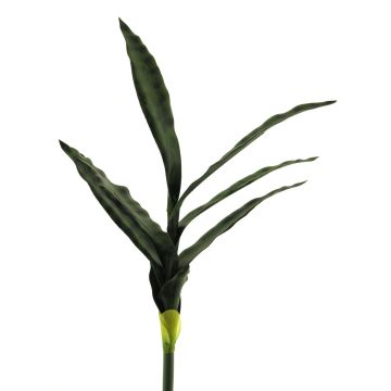 Plante succulente décorative Sansevieria SUNLIN sur piquet, vert, 60cm