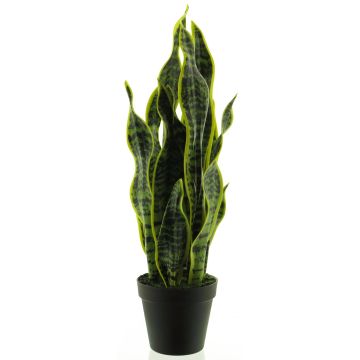 Succulente artificielle Sansevieria ANQING en pot décoratif, vert-jaune, 50cm