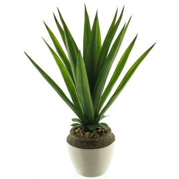 Succulente décorative Aloe Vera SHURUI, pot en céramique, vert, 45cm