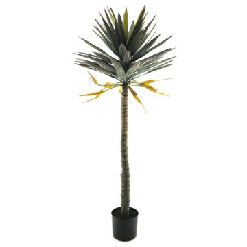 Faux palmier yucca MUYANG, 150cm