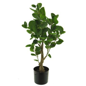 Plante en plastique Polyscias SHANG, tige artificielle, vert, 65cm