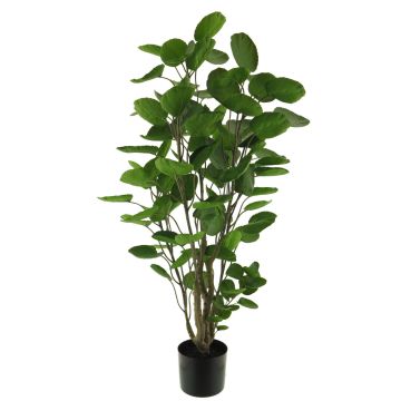 Plante en plastique Polyscias SHANG, tiges artificielles, vert, 105cm