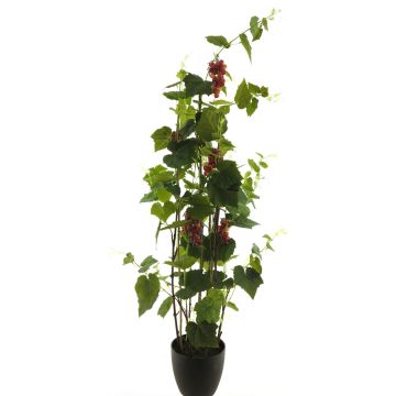 Plante décorative Vigne JIFAN, fruits, pot décoratif, vert-violet, 170cm