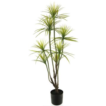 Plante artificielle Dracaena Marginata FUNING, tige artificielle, vert, 130cm