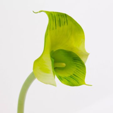 Faux Arum MARIOLA, vert, 80cm, 8x15cm