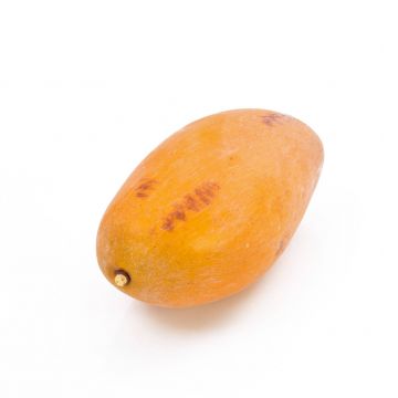Mangue artificielle OLINDA, orange, 12cm, Ø6,5cm
