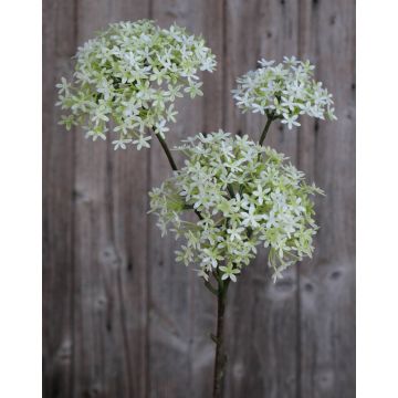 Fleur de Calotropis artificielle GULIO, blanc-vert, 75cm, Ø10-15cm