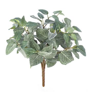 Faux fittonia JAMIRO, sur piquet, vert-blanc, 35cm