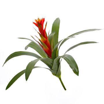 Guzmania artificiel INES, avec fleurs, sur piquet, rouge, 45cm