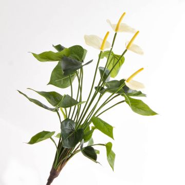 Bouquet d’Anthurium artificiel LORIE sur piquet, crème, 55cm, 6x8cm