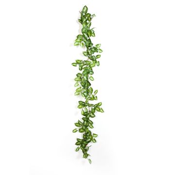 Guirlande de syngonium artificiel AOLOA, vert-blanc, 180cm