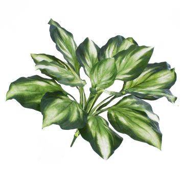 Plante Hosta artificielle YAHIKO, sur piquet, vert-blanc, 55cm