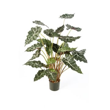 Alocasia Sanderiana artificiel SHIVA, vert-blanc, 110cm