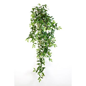 Tradescantia Fluminensis artificiel AURELIE, piquet, vert, 125cm