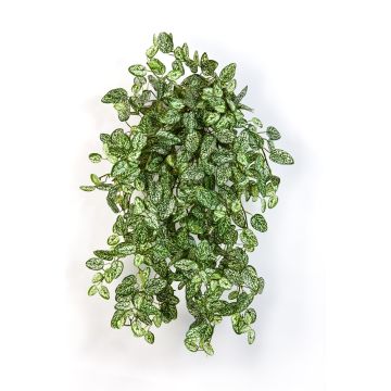 Fausse plante aux éphélides MALAIKA, piquet, vert-blanc, 50cm