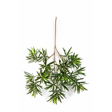 Branche de podocarpus artificielle CHIKO, vert, 65cm
