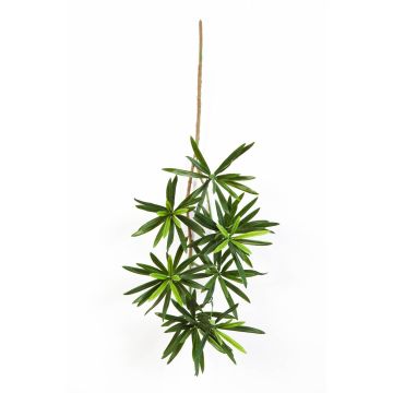 Branche de podocarpus artificielle CHIKO, vert, 50cm