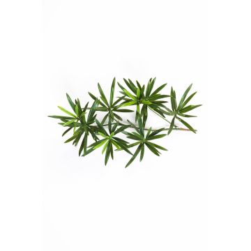 Branche de podocarpus artificielle CHIKO, vert, 40cm