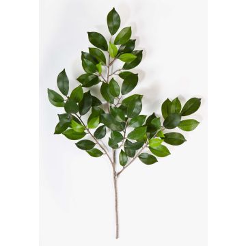 Branche de ficus synthétique AJITH, vert, 45cm