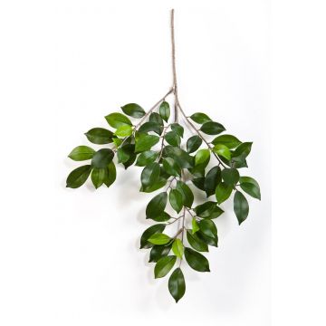 Branche de ficus synthétique AJITH, vert, 45cm