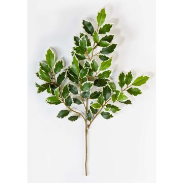 Branche de ficus synthétique AJITH, vert-blanc, 45cm