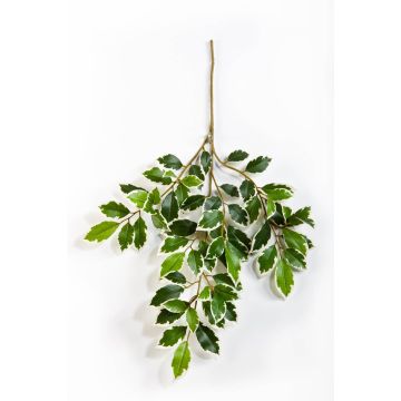 Branche de ficus synthétique AJITH, vert-blanc, 45cm