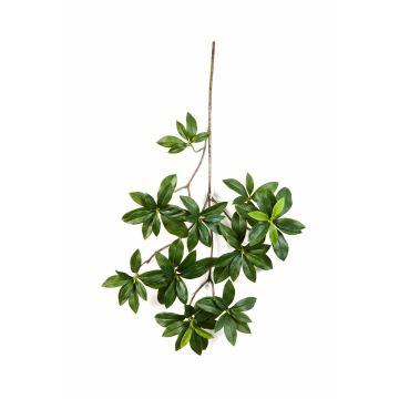 Fausse branche d'euonymus japonicus SACHIKO, vert, 55cm