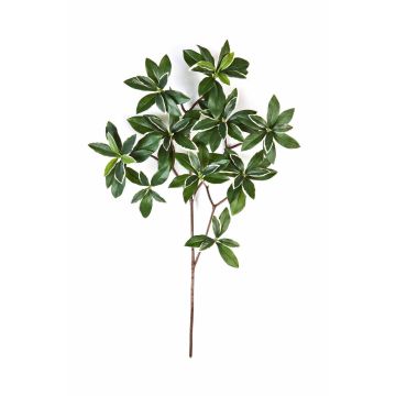 Fausse branche d'euonymus japonicus SACHIKO, vert-blanc, 55cm