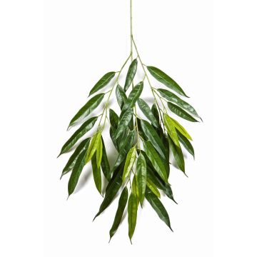 Branche de longifolia artificielle RANJAN, vert, 80cm