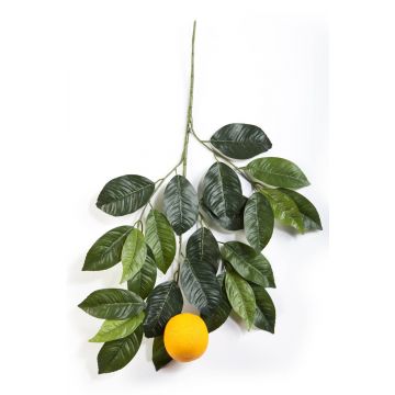 Branche d'oranger artificielle ADRIANA, avec fruits, vert, 60cm