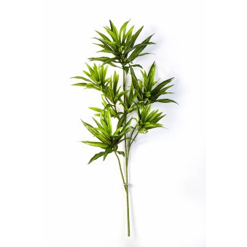 Branche de dracéna artificielle MAYRA, vert, 80cm