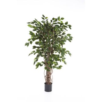 Ficus benjamina artificiel AMELIO, troncs naturels, vert, 150cm