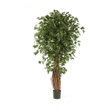 Ficus benjamina en plastique LUCIUS, vrais troncs, vert, 150cm