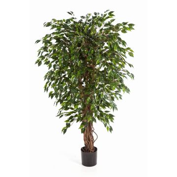 Faux ficus benjamina DAKU, troncs naturels, vert, 180cm