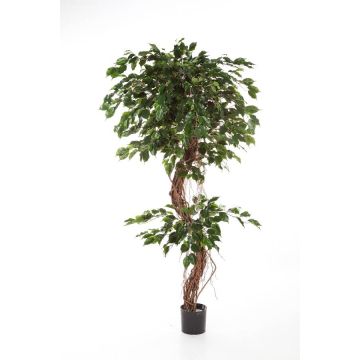 Ficus benjamina synthétique LUANO, troncs naturels, vert, 180cm