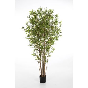 Plante artificielle bambou KANAYO, vrais troncs, vert, 90cm