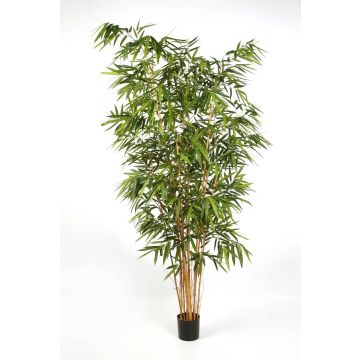 Arbre de bambou artificiel FUDO, troncs naturels, vert, 240cm